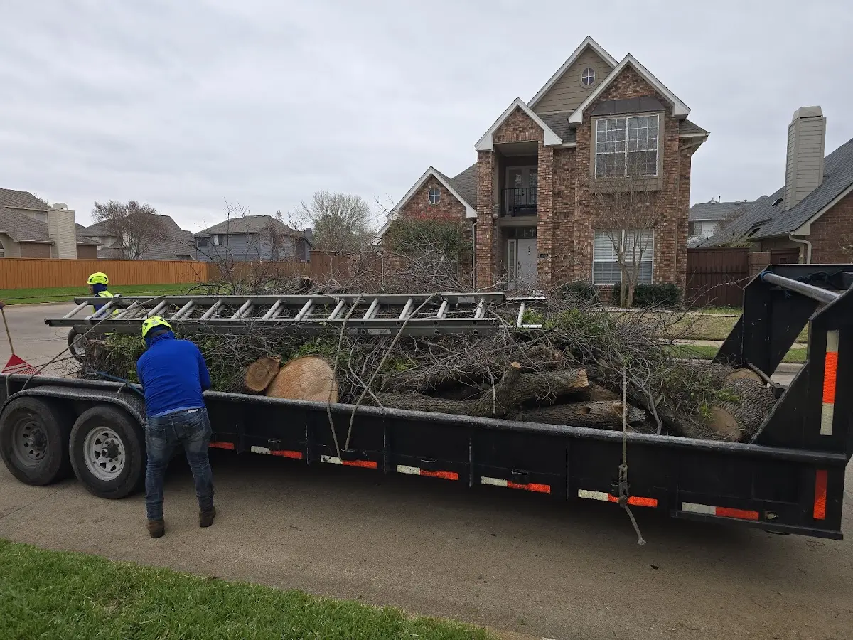 Expert Tree Pest Control with proper safety equipment in Roaring Springs